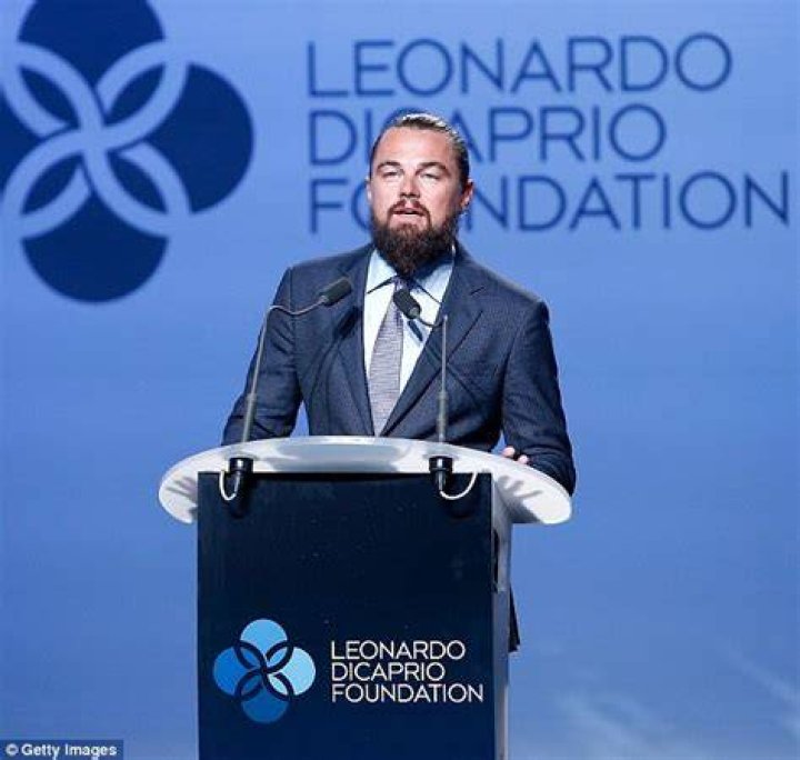 Leonardo DiCaprio’s Foundation Gives $5 Million For Combating Amazon Fires